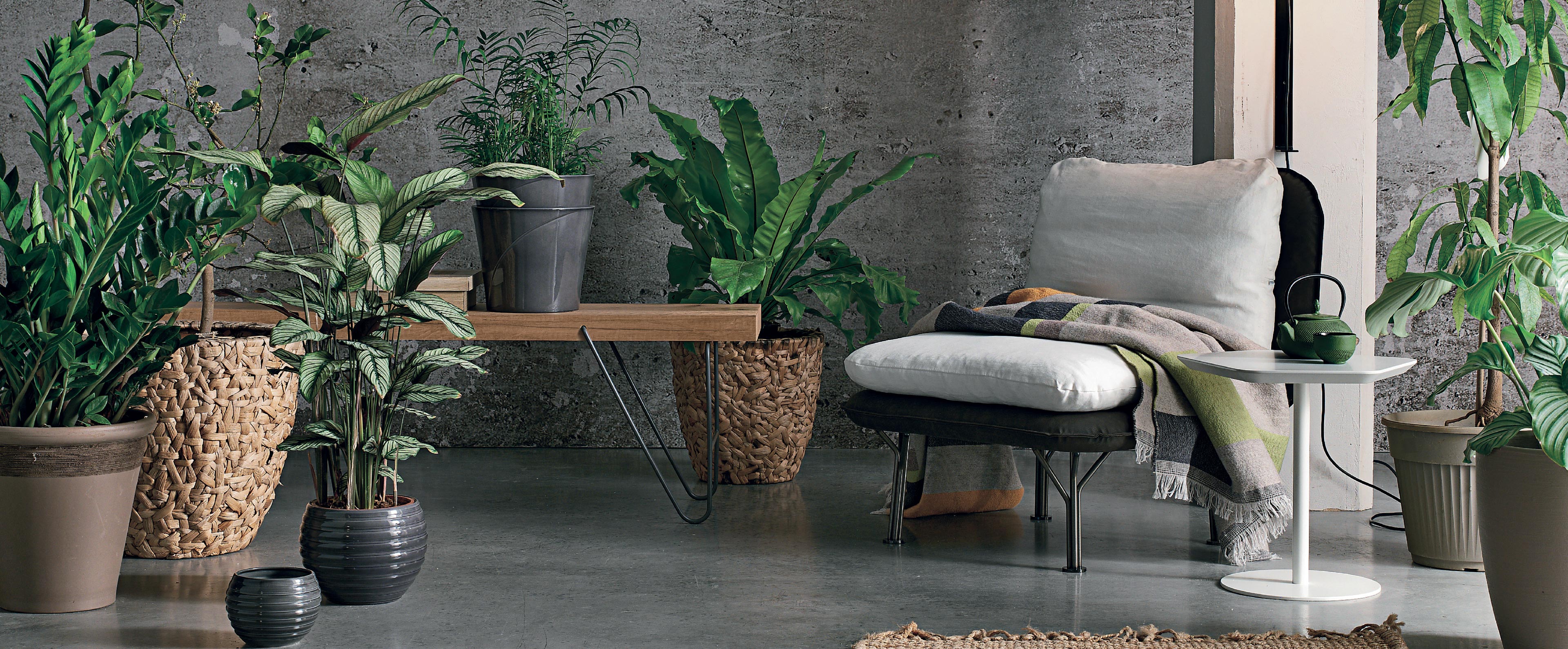 MAYA OCCASIONAL CHAIR休闲椅