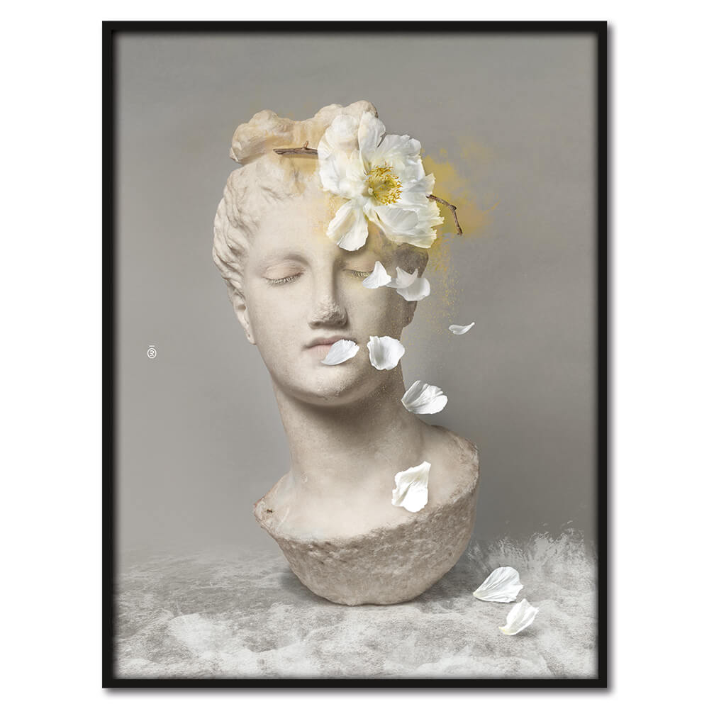 IbridePortrait Collector Aphrodite Rêverie装饰画
